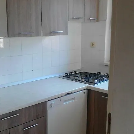 Apartment Holiday Haire